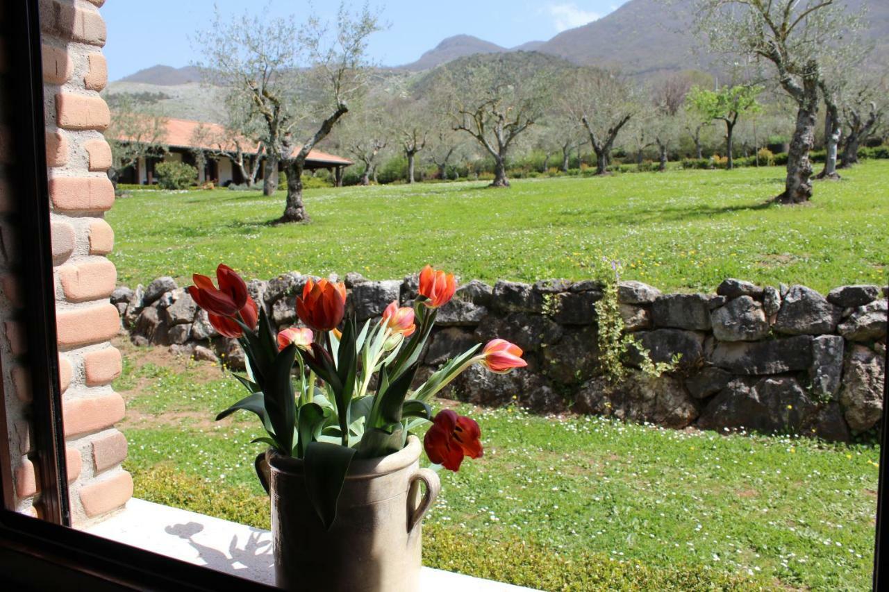 Agriturismo Il Castagneto Падула Экстерьер фото